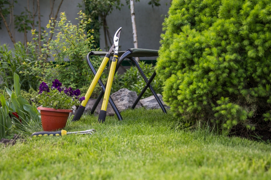 Summer Garden Maintenance Essential Tasks for a Lush and Healthy