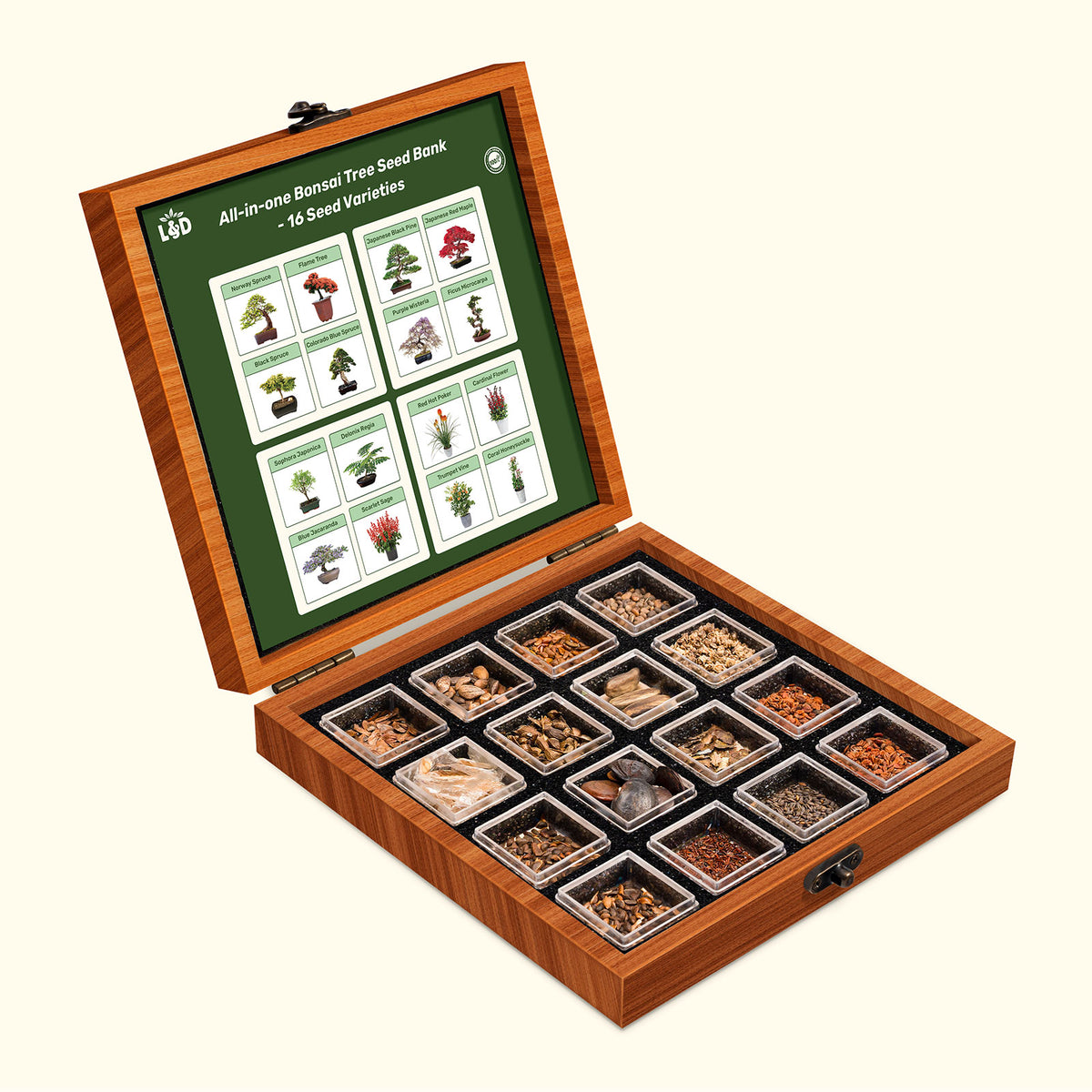AllinOne Bonsai Tree Seed Bank With Seed Storage Box LUSH & DEW