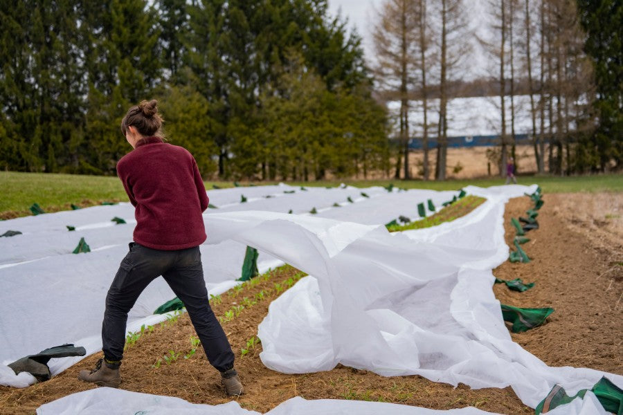 Winterizing Your Garden: Steps to Protect Plants from Frost and Cold ...