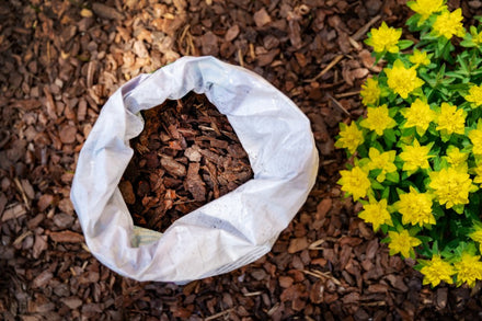 Organic Mulching: Natural Solutions for A Sustainable Garden