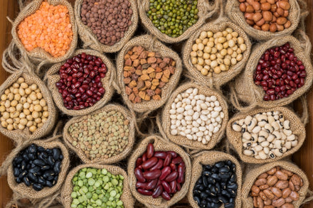 Seed Storage: How to Preserve and Protect Your Garden's Future