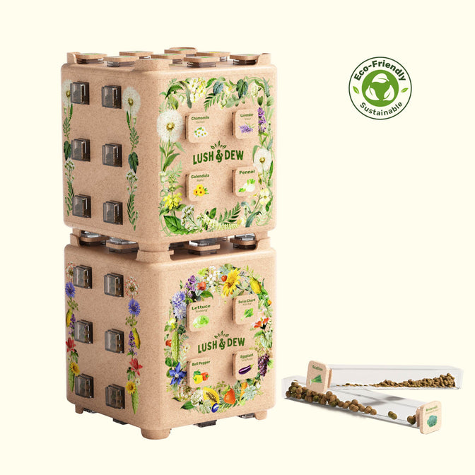 SeedStack™ Starter Pair - 38 Curated Varieties of Vegetable & Herb