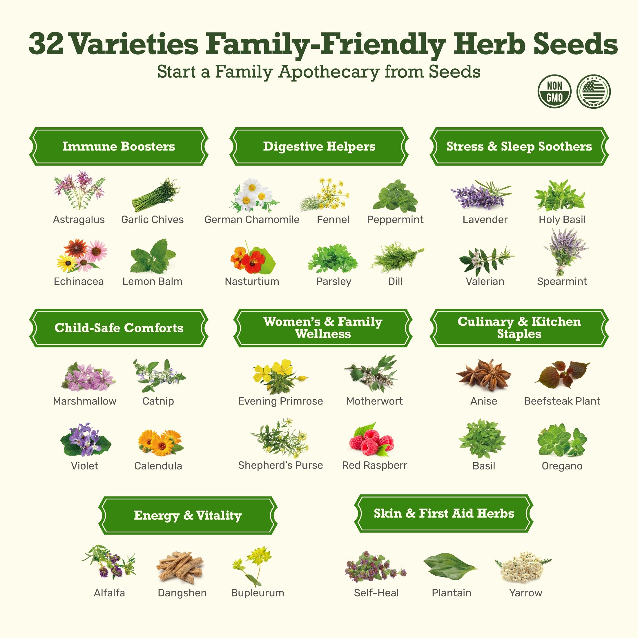 herbal plants seeds The Holistic Family Apothecary Seed Chest