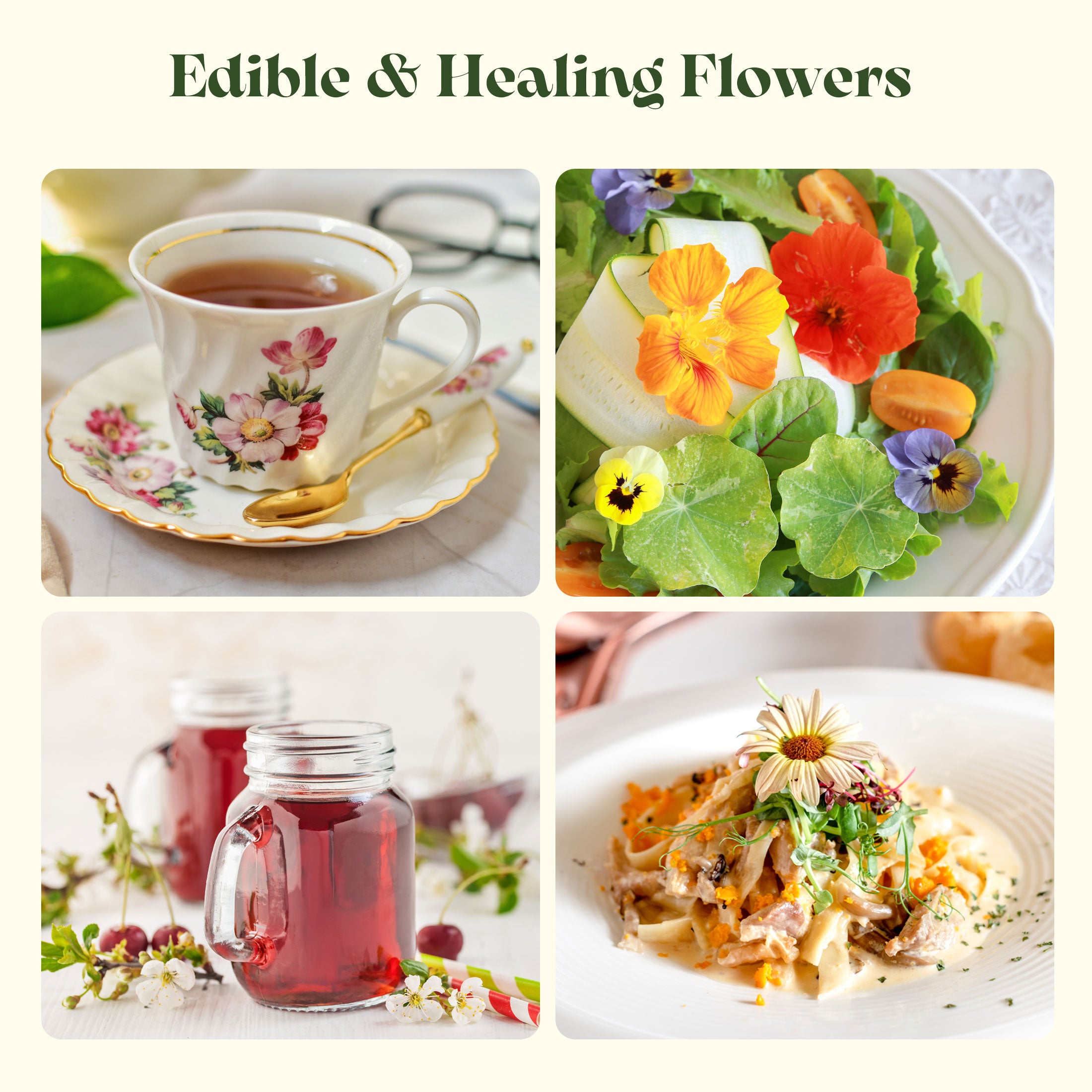 edible flower seeds organic Edible Flower Seed Bank with Almanac 2026 – 32 Non-GMO Varieties