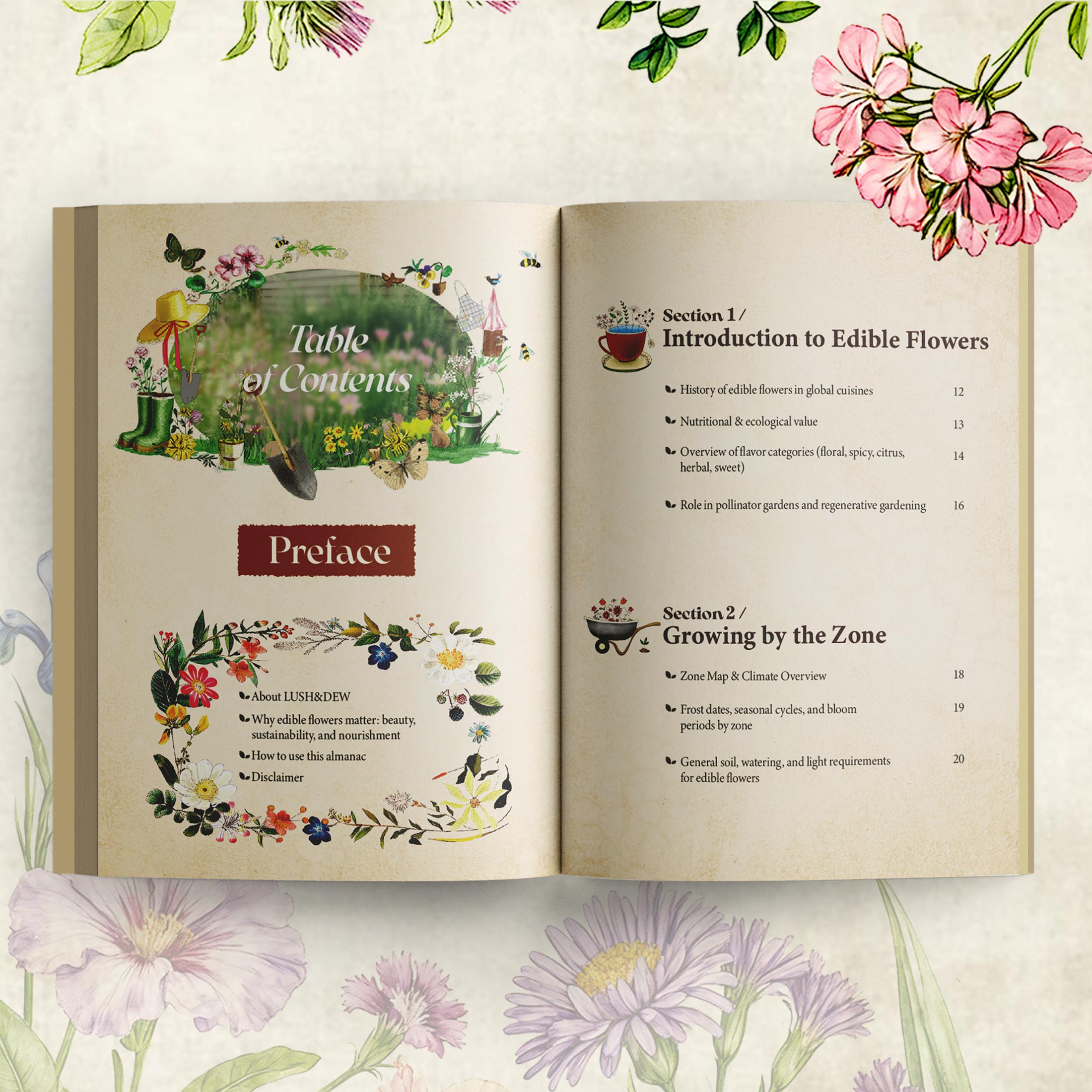 edible flower seeds organic Edible Flower Seed Bank with Almanac 2026 – 32 Non-GMO Varieties