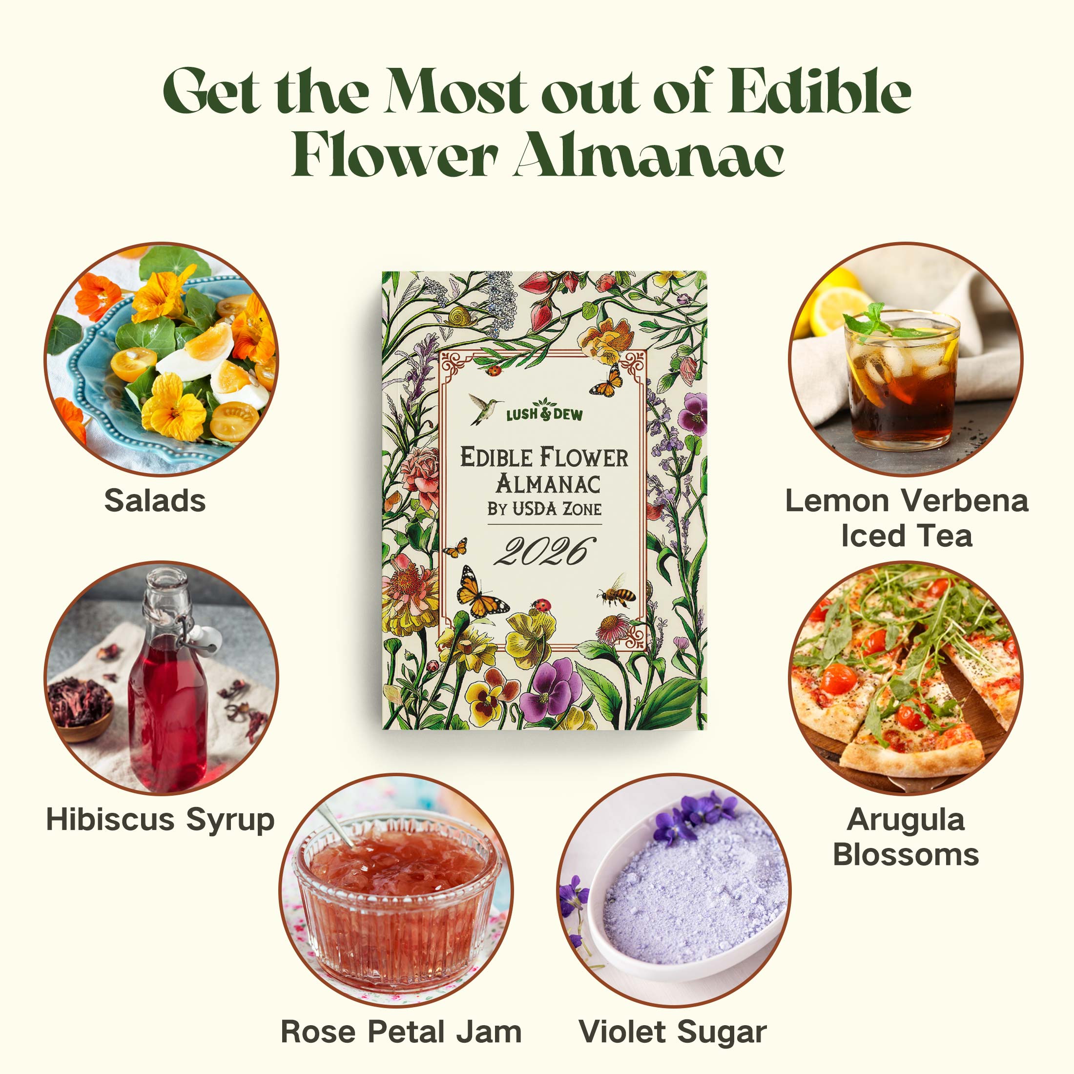 edible flower seed kit Edible Flower Seed Bank with Almanac 2026 – 32 Non-GMO Varieties