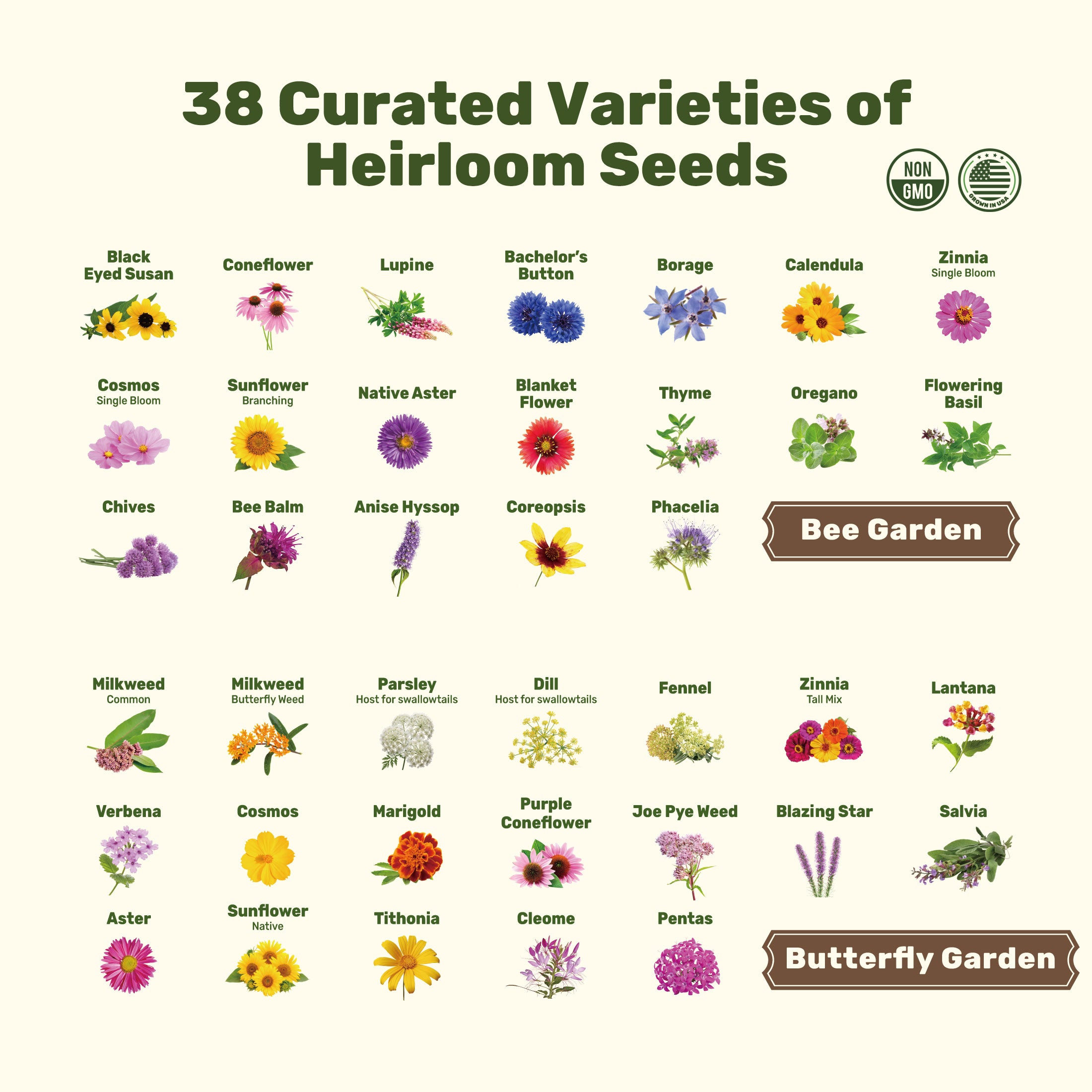 bee friendly plant seeds SeedStack Pollinator Heroes Pair-38 Types of Pollinator Friendly Seeds