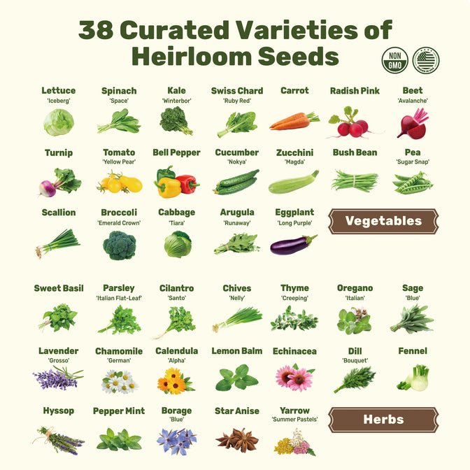 buy garden vegetable seeds SeedStack Starter Pair