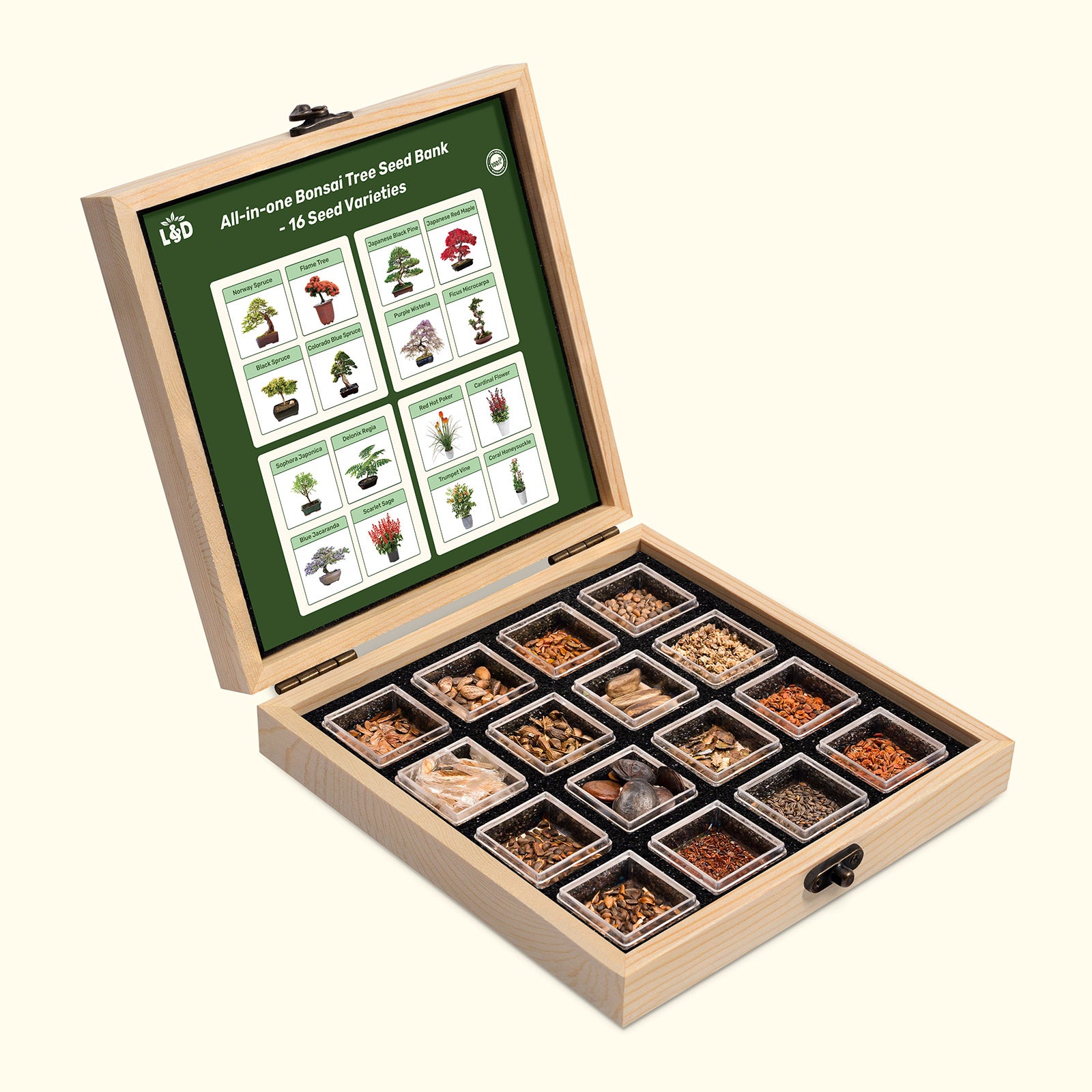bonsai tree seeds near me All-in-One Bonsai Tree Seed Bank With Seed Storage Box