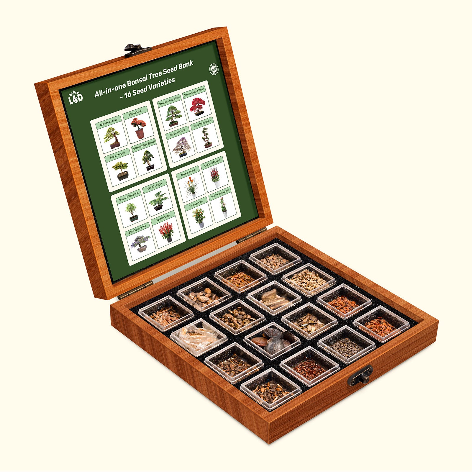 indoor bonsai tree seeds All-in-One Bonsai Tree Seed Bank With Seed Storage Box