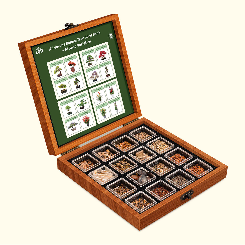 Seeds Collection LUSH DEW Seeds collection lush dew