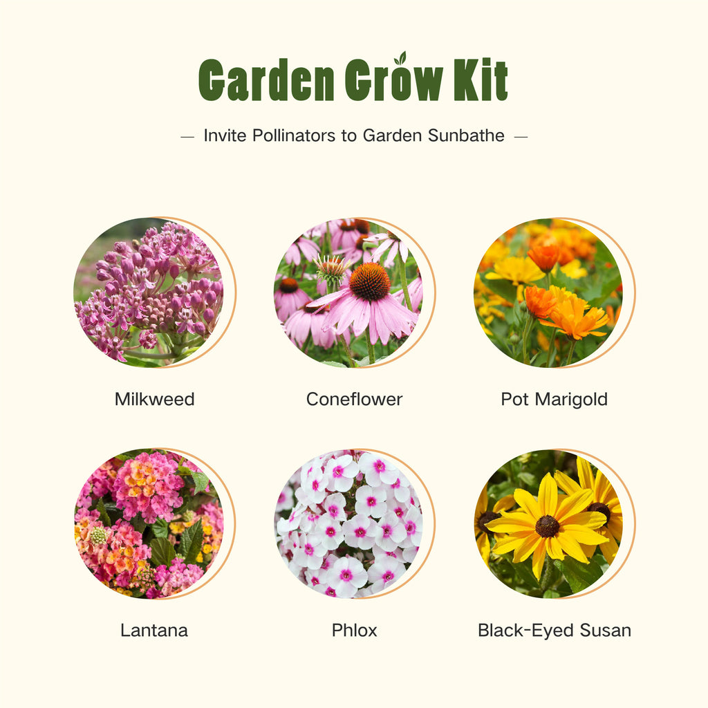 Gardening Grow Kits LUSH DEW gardening-grow-kits-lush-dew
