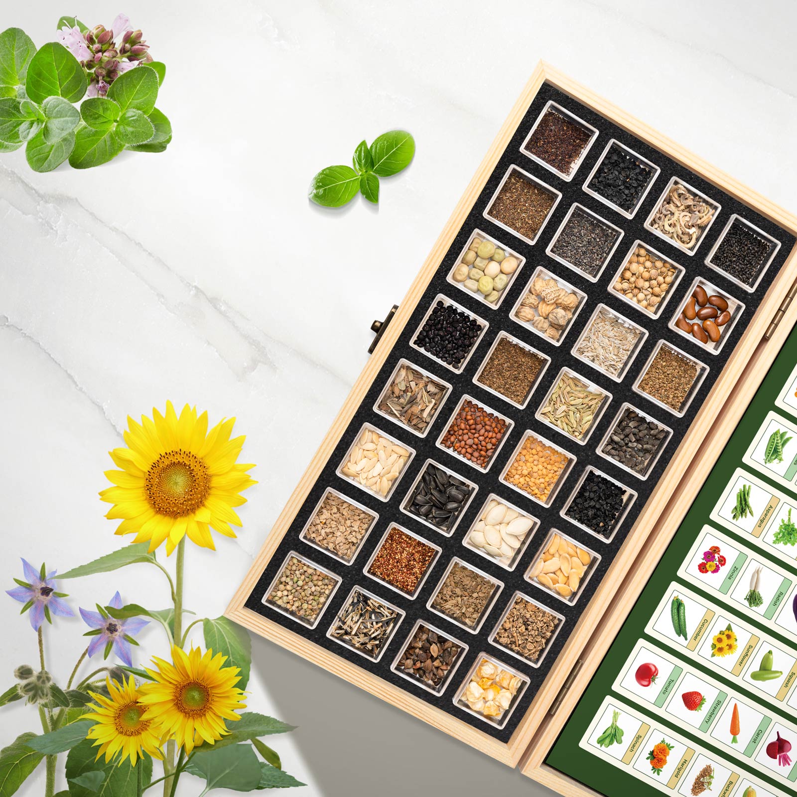 flower seed holder Full Companion Plants Seed Bank With Seed Storage Box