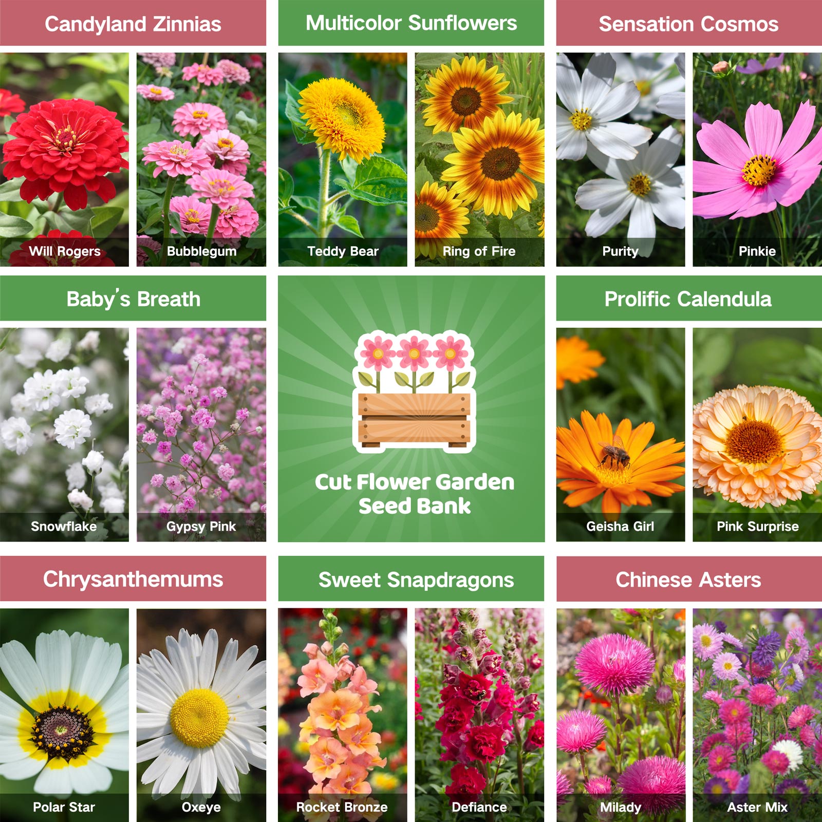 flower seed bank Gift-Ready Cut Flower Garden Seed Bank