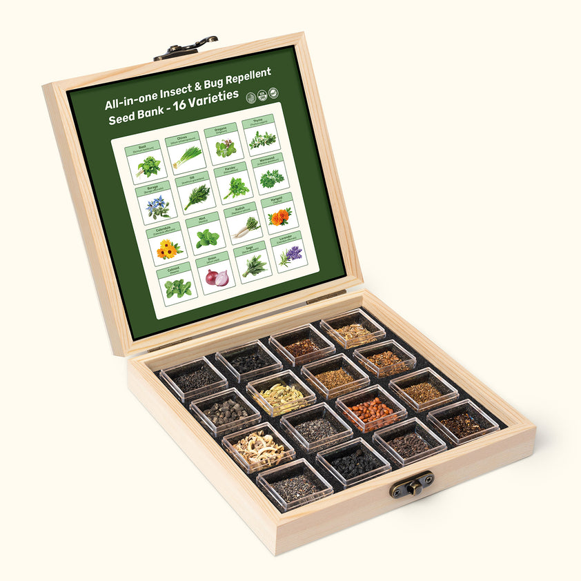Insect & Bug Repellent Seed Bank With Seed Storage Box | LUSH & DEW
