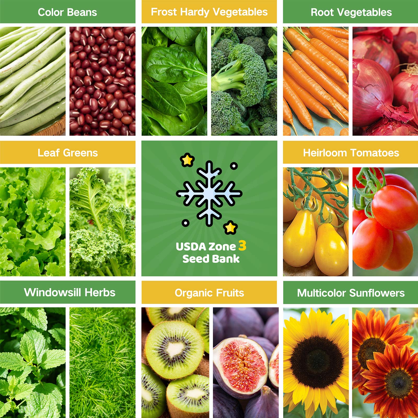 usda seeds for planting Year-Round USDA Zone 3 Seed Bank With Seed Storage Box
