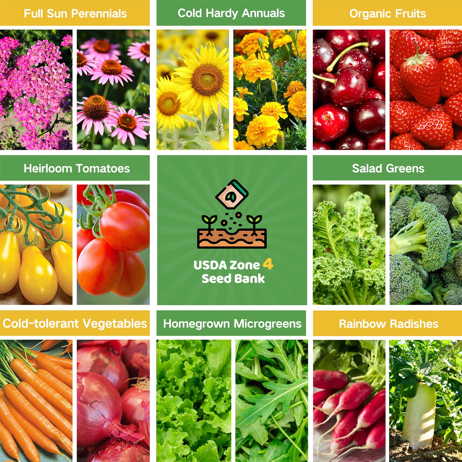 zone 4 flower seeds Year-Round USDA Zone 4 Seed Bank With Seed Storage Box