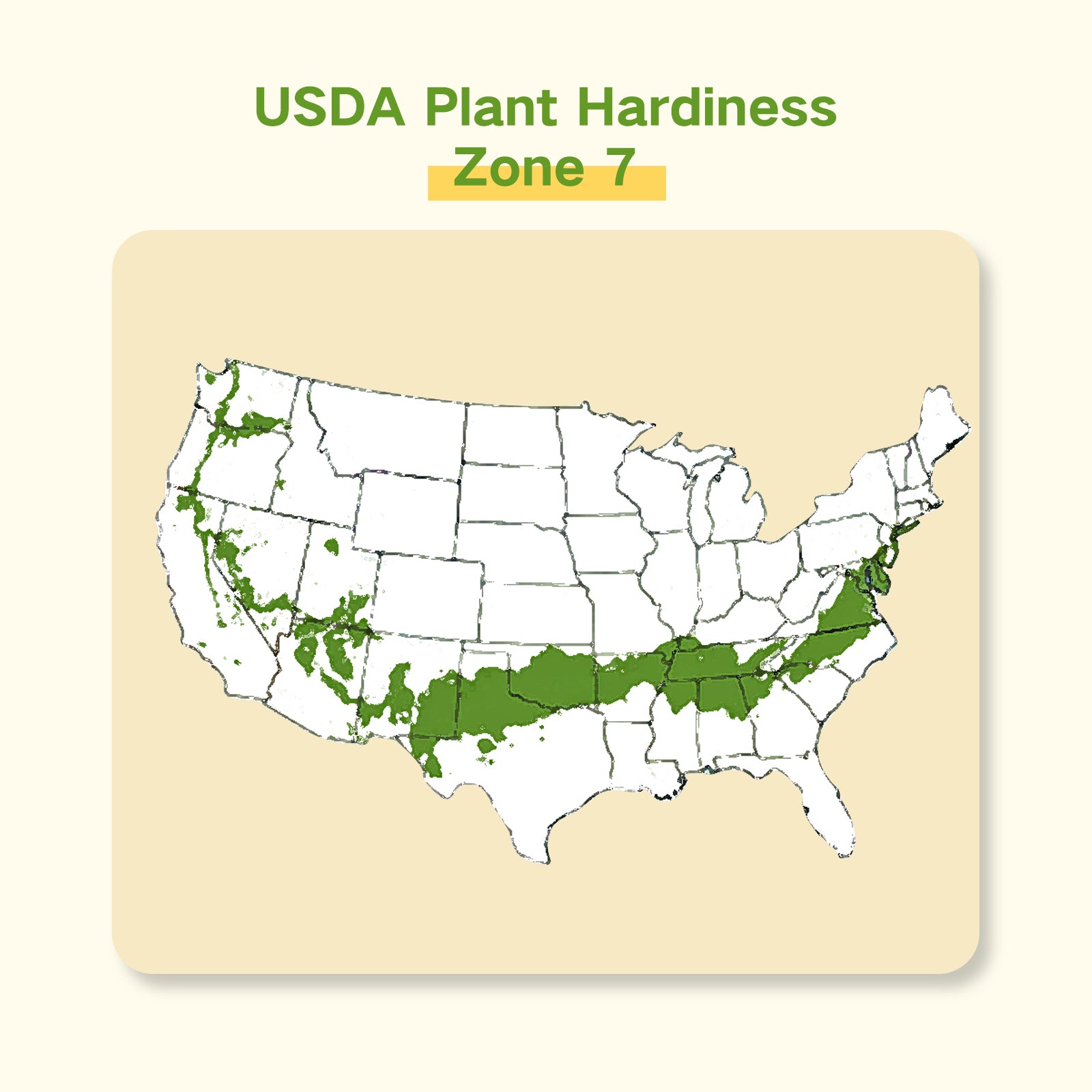 zone 7 flower seeds Year-Round USDA Zone 7 Seed Bank With Seed Storage Box