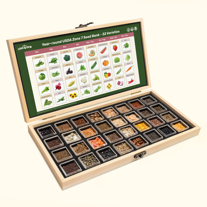 Year-Round USDA Zone 7 Seed Bank - 32 Organic Seed Varieties