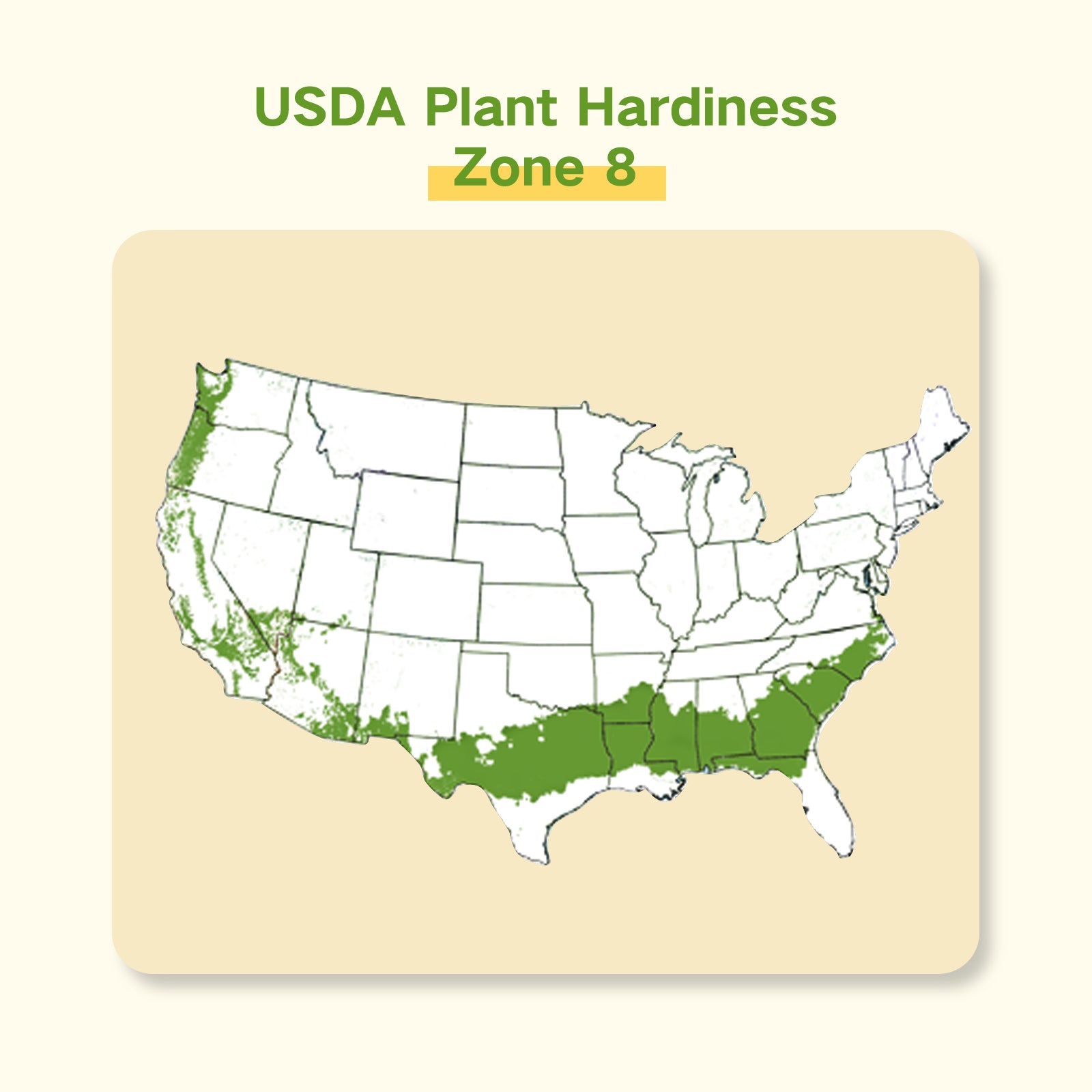seeds to plant in may zone 8 Year-Round USDA Zone 8 Seed Bank With Seed Storage Box