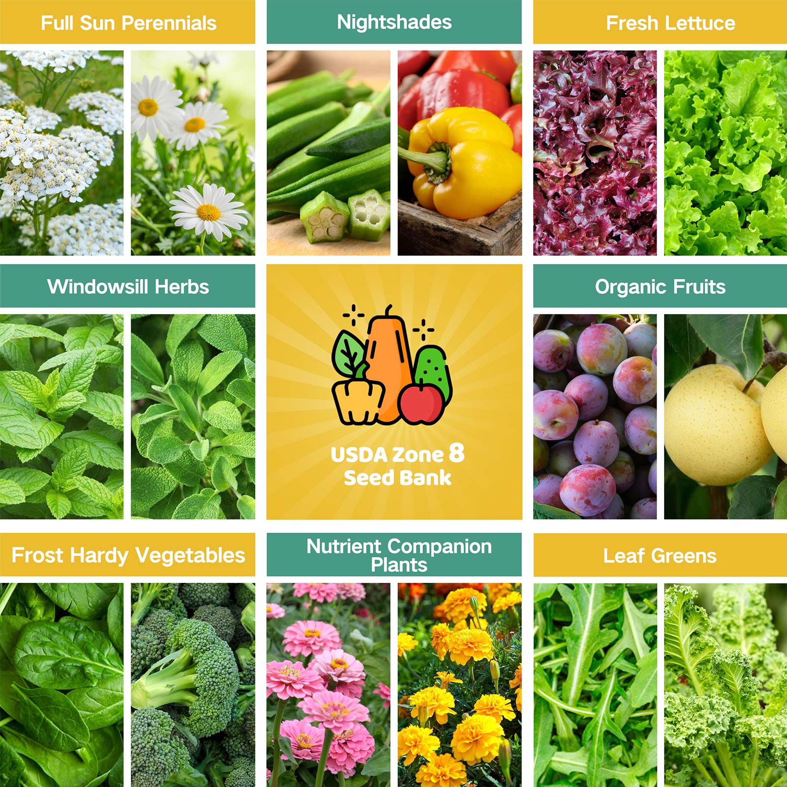 seeds to plant in may zone 8 Year-Round USDA Zone 8 Seed Bank With Seed Storage Box