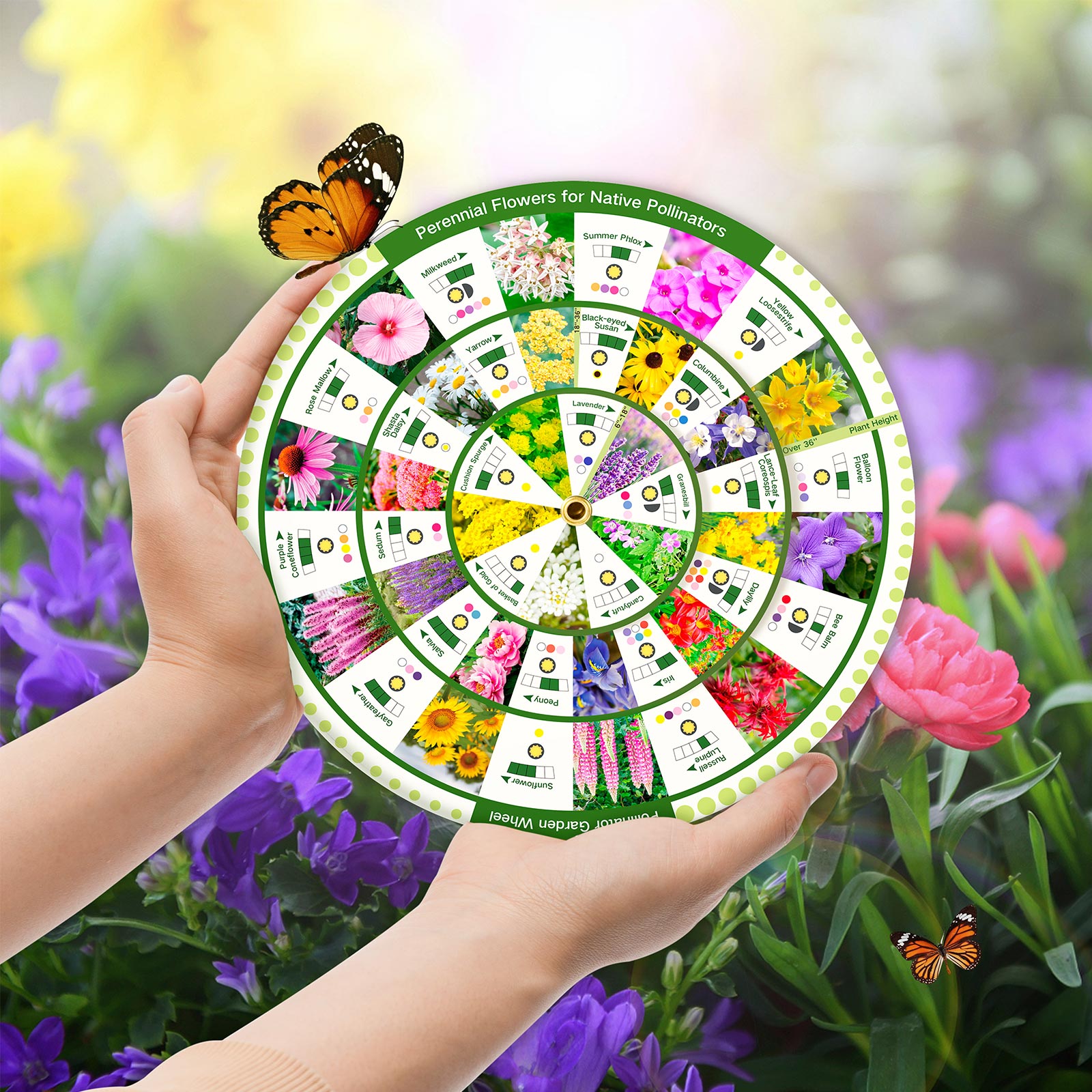 Perennial Flower Wheel - Pollinator Garden Guide | LUSH & DEW
