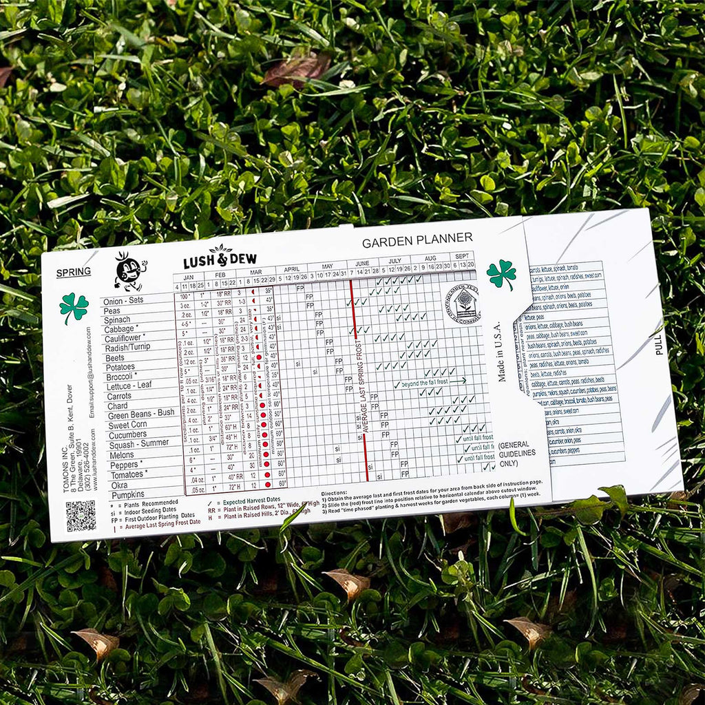 Vegetable Planting Depth Chart Vegetable Container Size Chart — San
