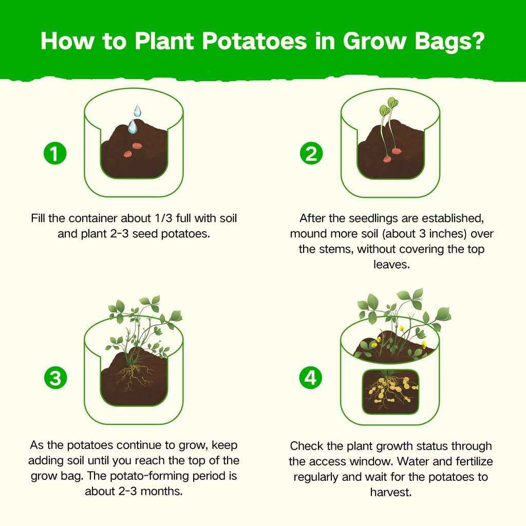 How to Sow, Plant and Grow Potatoes in Bags and Containers - Dengarden