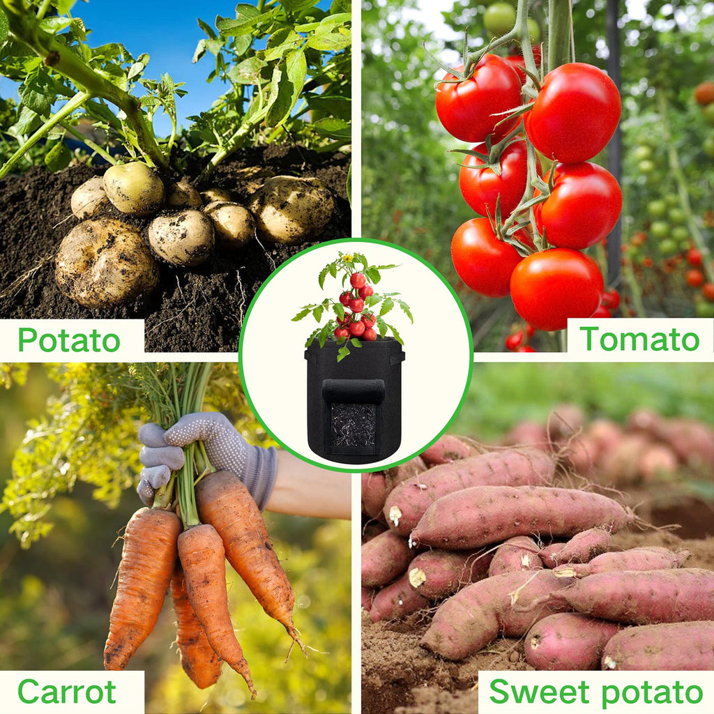 Easy Planting Easy Growing LUSH DEW Easy planting easy growing lush dew