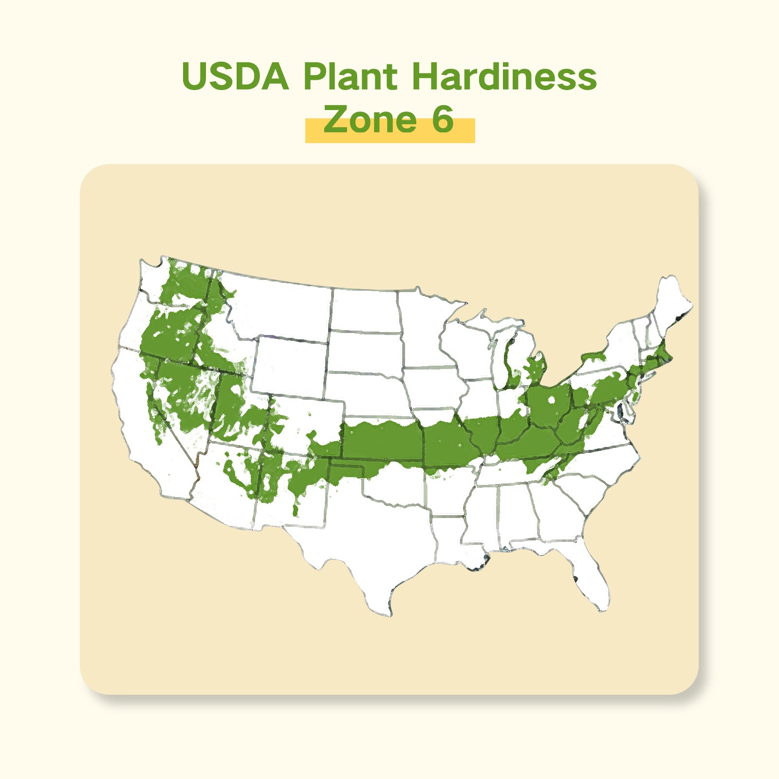 wildflower seeds zone 6 Year-Round USDA Zone 6 Seed Bank With Seed Storage Box