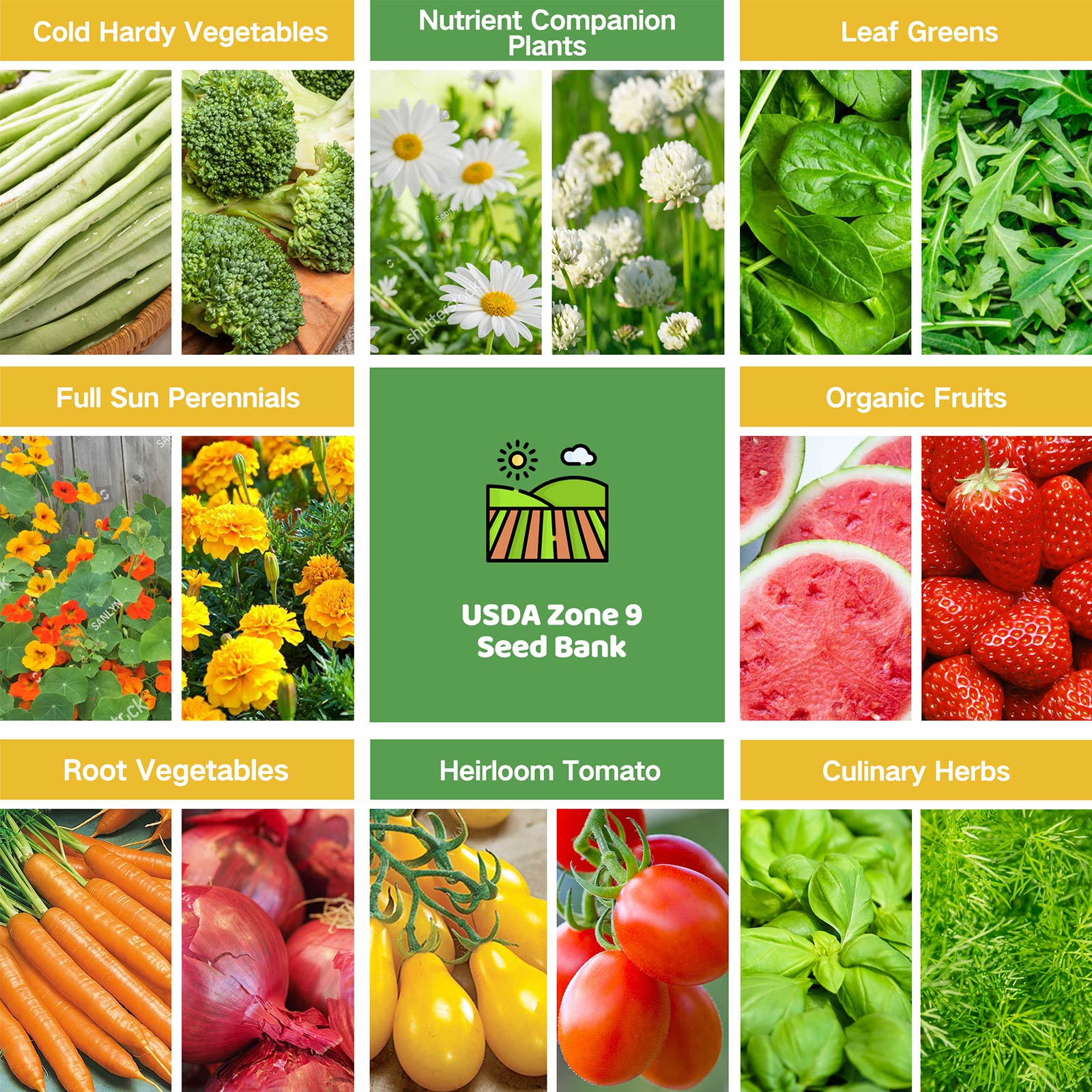 seeds to plant in june zone 9 Year-Round USDA Zone 9 Seed Bank