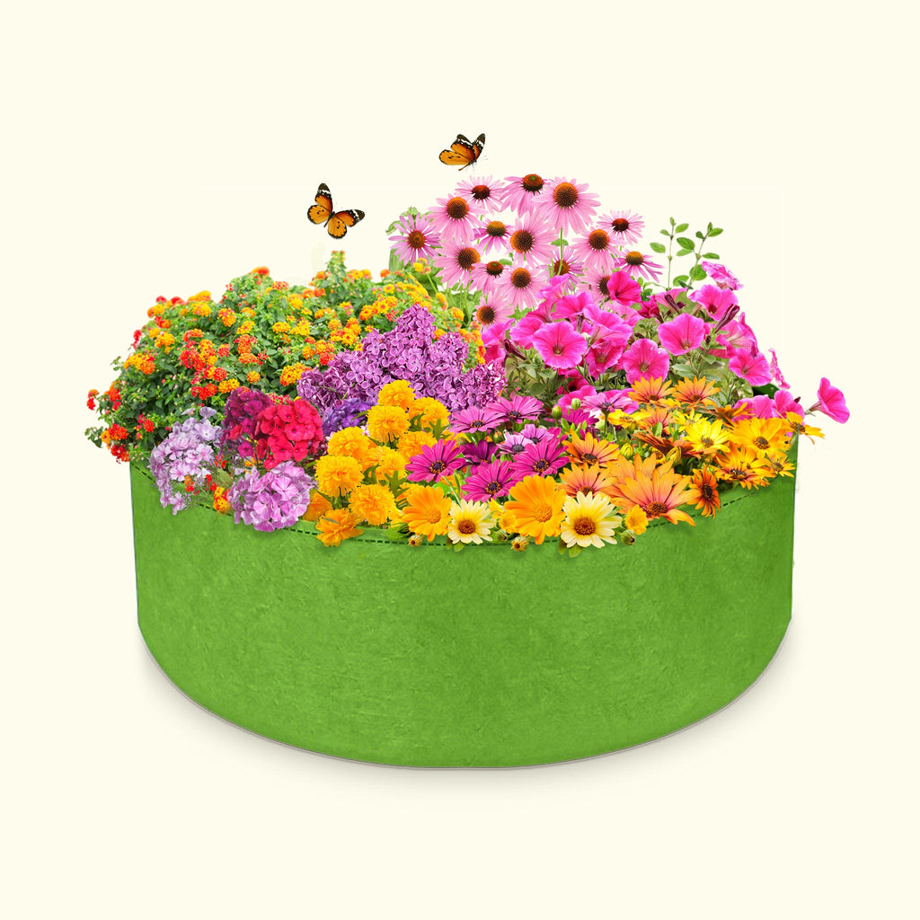 Seeds Collection LUSH DEW seeds-collection-lush-dew